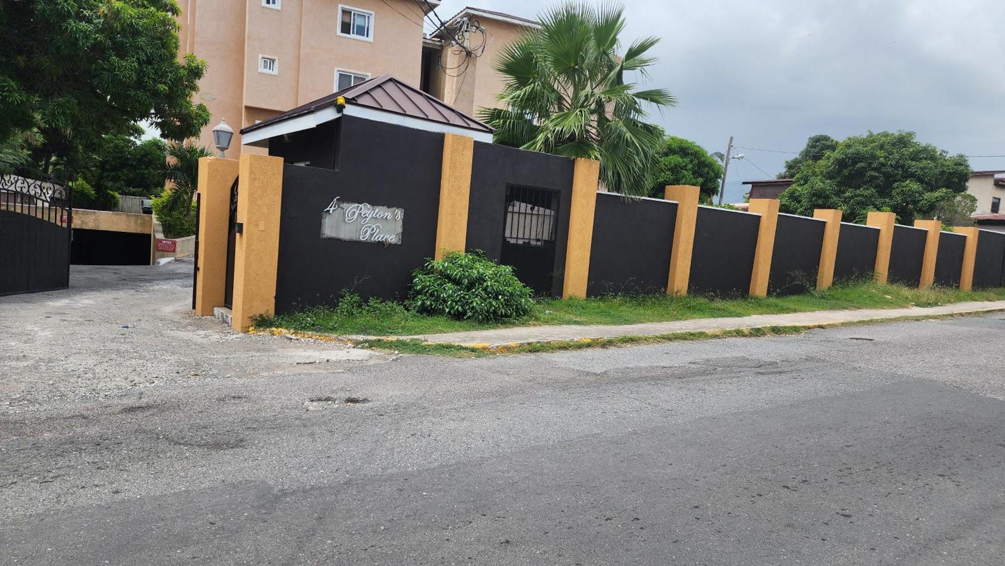 Central Upscale New Kingston Apt With Pool Exterior photo